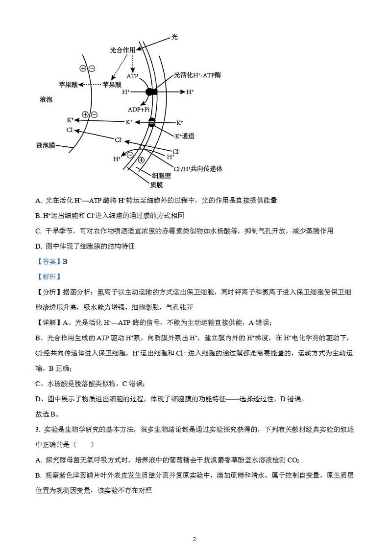 2024届湖南省衡阳市雁峰区衡阳市八中高三高考适应性练习（一）生物试题含解析第2页