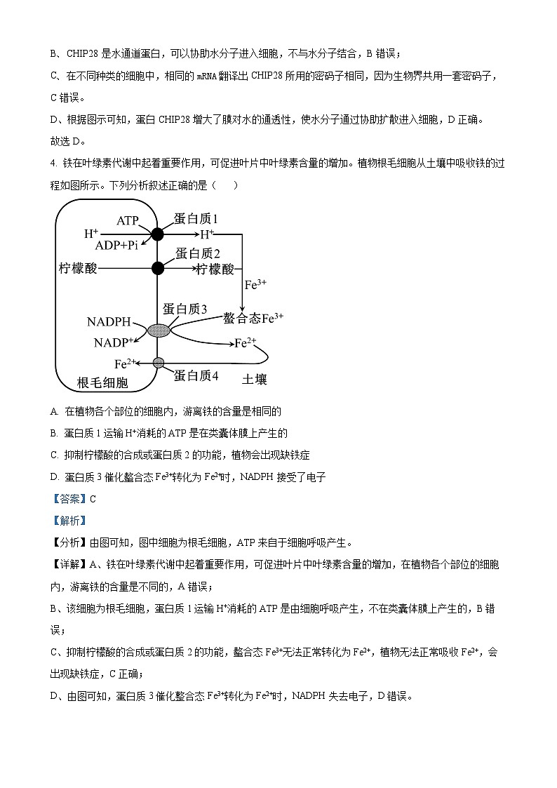 精品解析：河南省新乡市原阳县实验高级中学2023-2024学年高一下学期3月月考生物试题（解析版）第3页