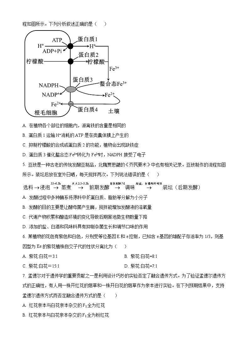 精品解析：河南省新乡市原阳县实验高级中学2023-2024学年高一下学期3月月考生物试题（原卷版）第2页