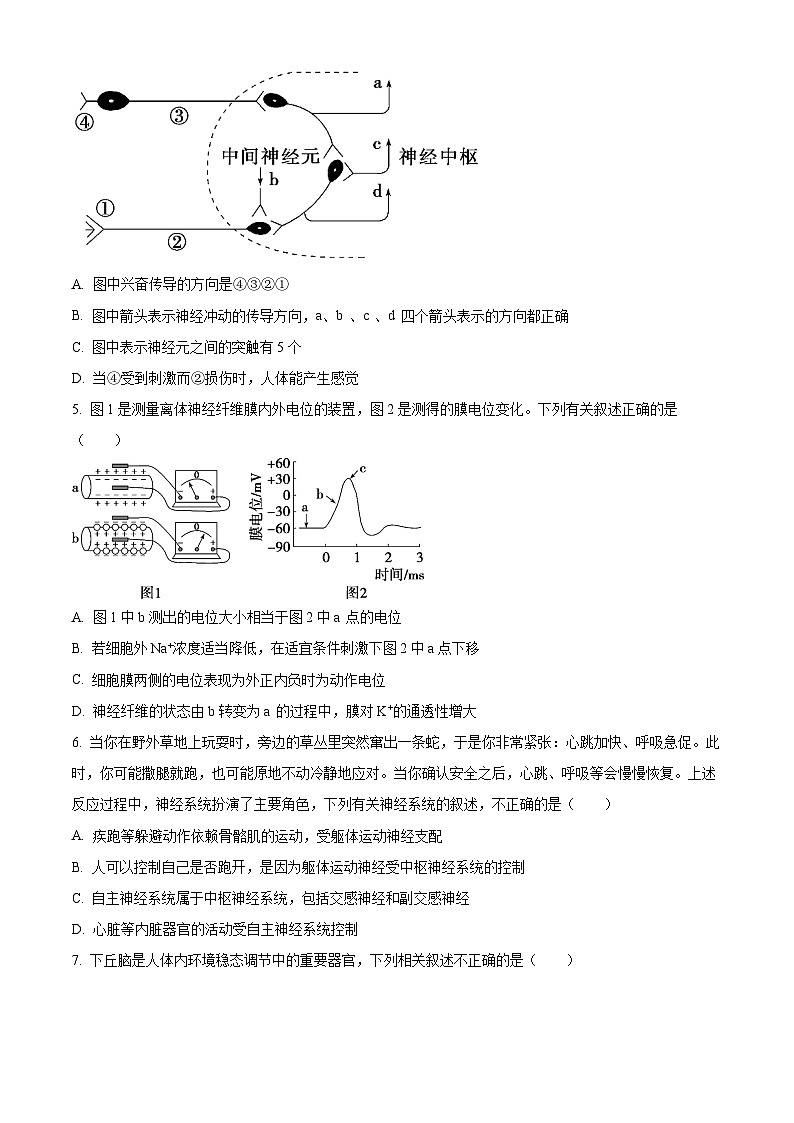 云南省昆明市禄劝彝族苗族自治县第一中学2023-2024学年高二下学期3月月考生物试题（原卷版+解析版）02