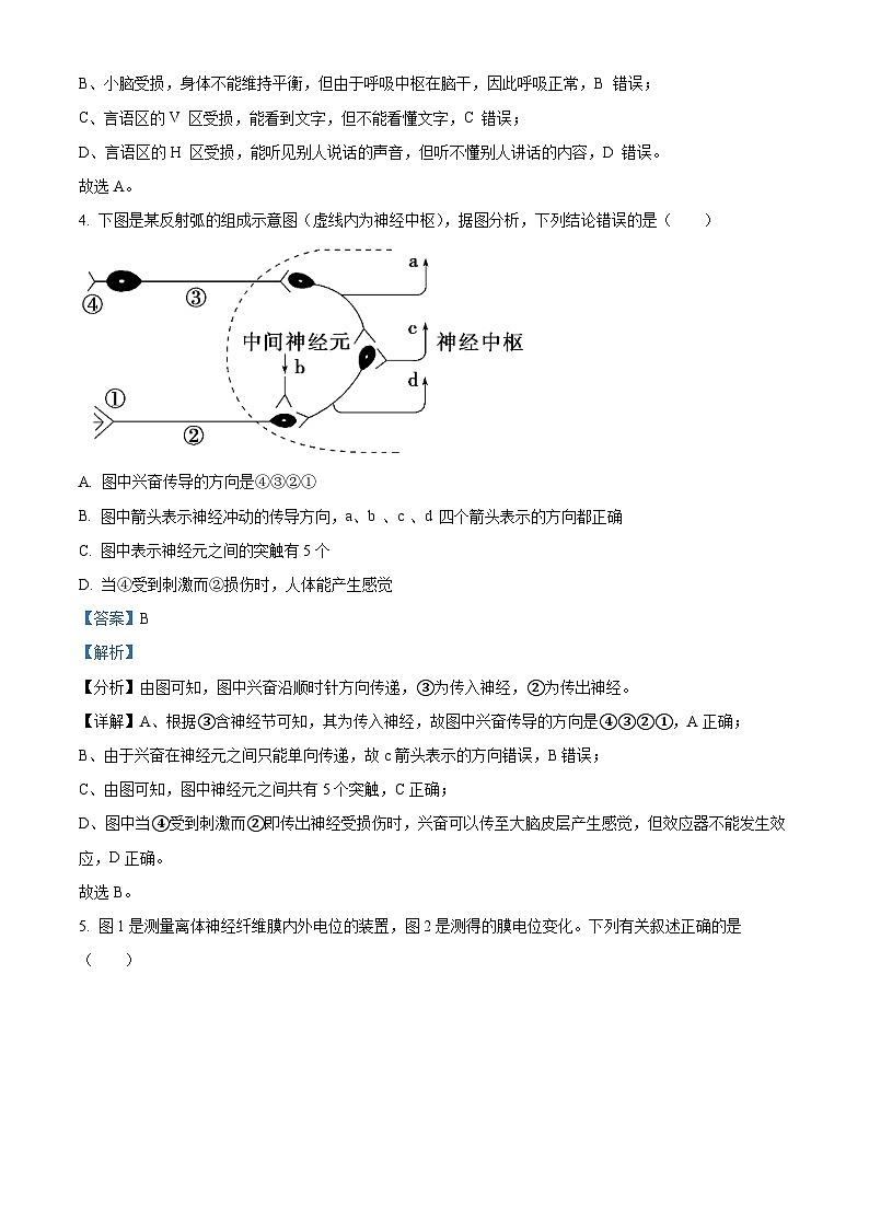 云南省昆明市禄劝彝族苗族自治县第一中学2023-2024学年高二下学期3月月考生物试题（原卷版+解析版）03