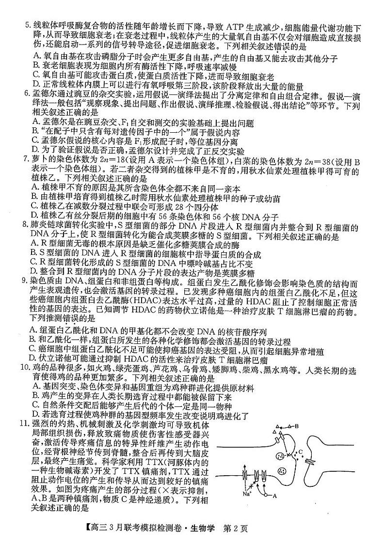 2024黑吉辽三省部分学校 高三下学期3月联考模拟检测-生物试题及答案第2页