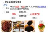 1.1传统发酵技术的应用课件-人教版（2019）选择性必修3