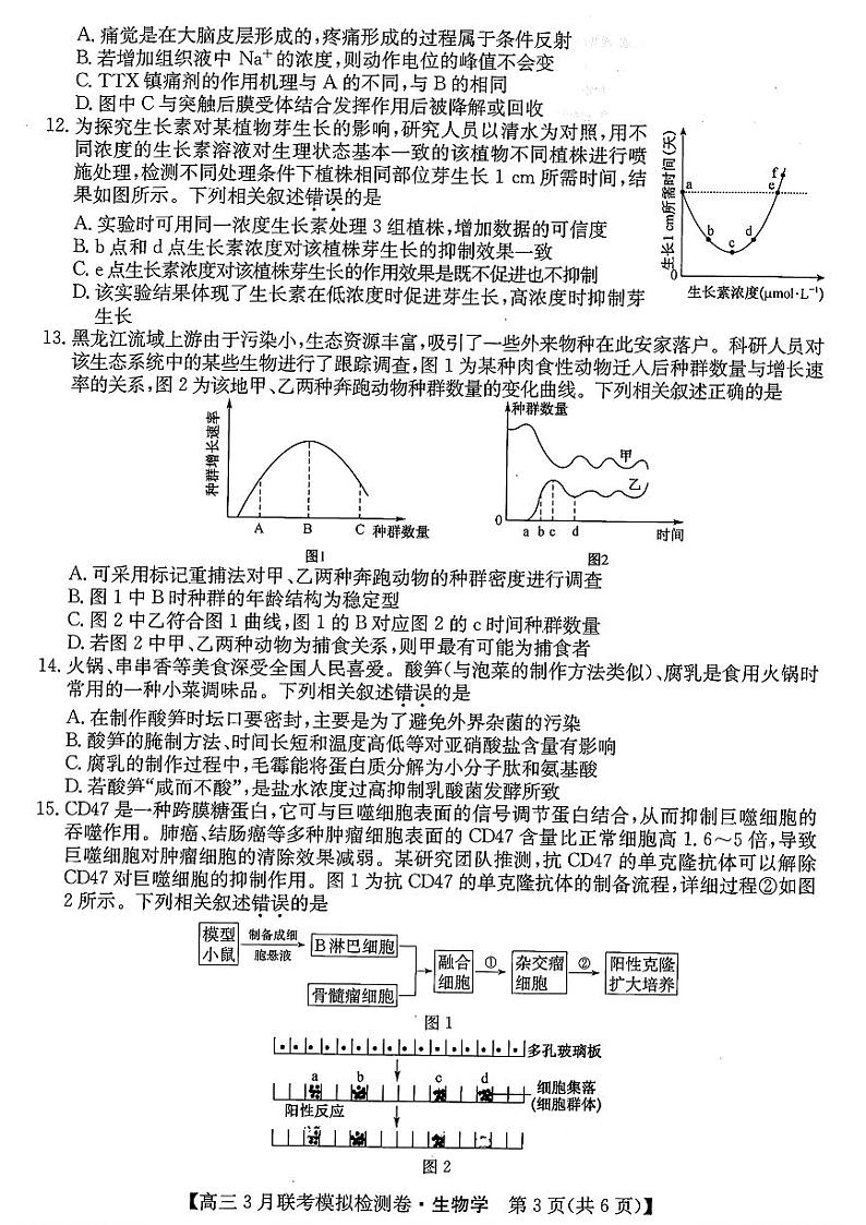 东北三省2024届高三下学期联考模拟检测卷生物试题及答案第3页