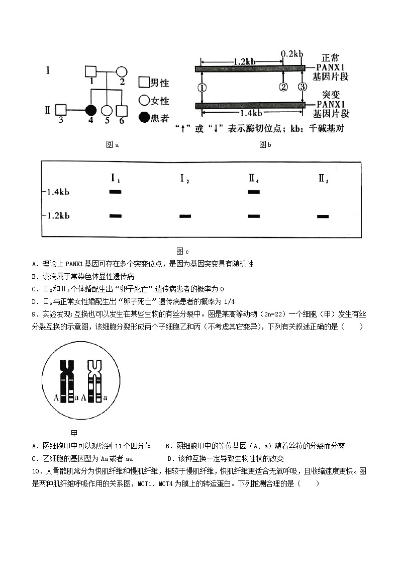 重庆市南开中学校2023-2024学年高三下学期第七次质量检测生物试题第3页