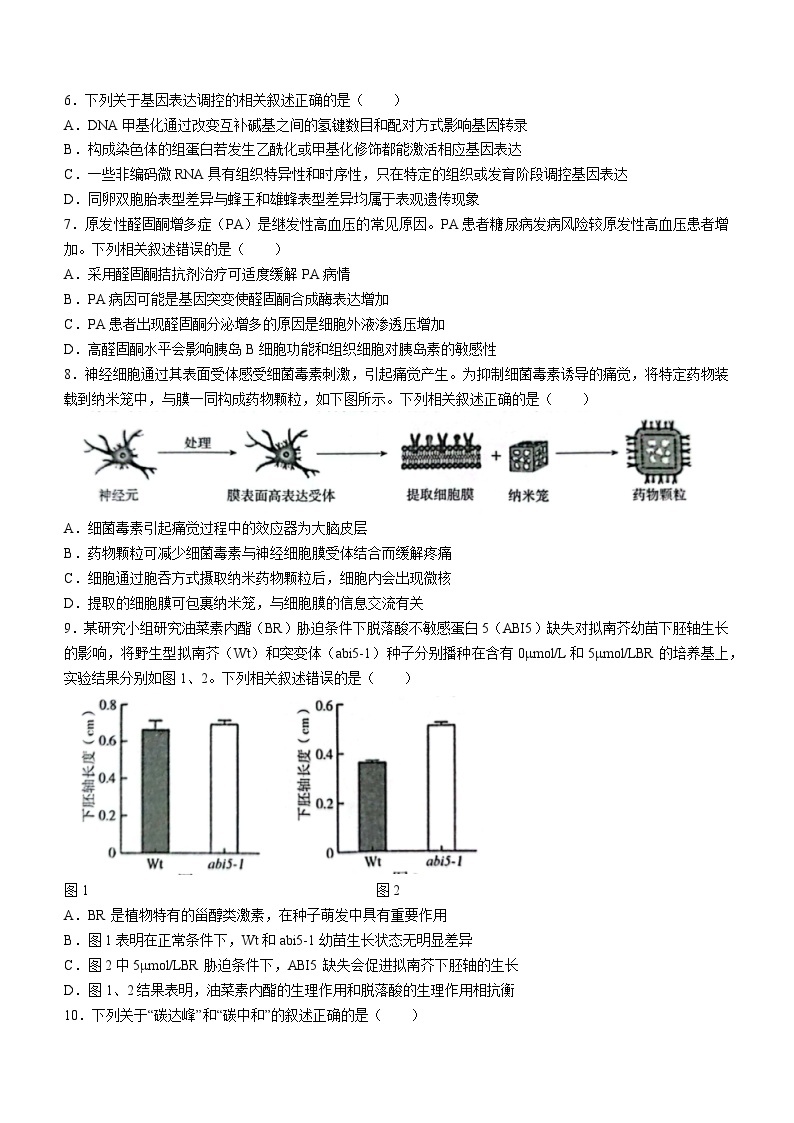 2024届江苏省南京市、盐城市高三第一次模拟考试生物试卷02