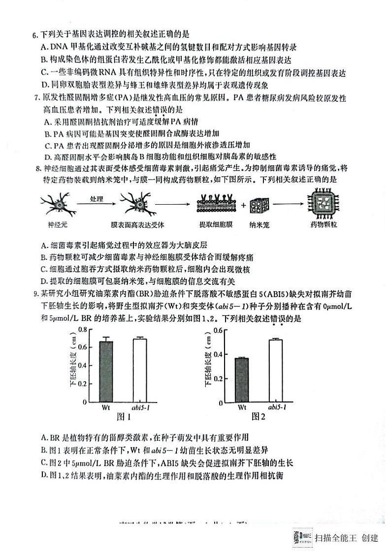 2024届江苏省南京市、盐城市高三第一次模拟考试生物试卷02