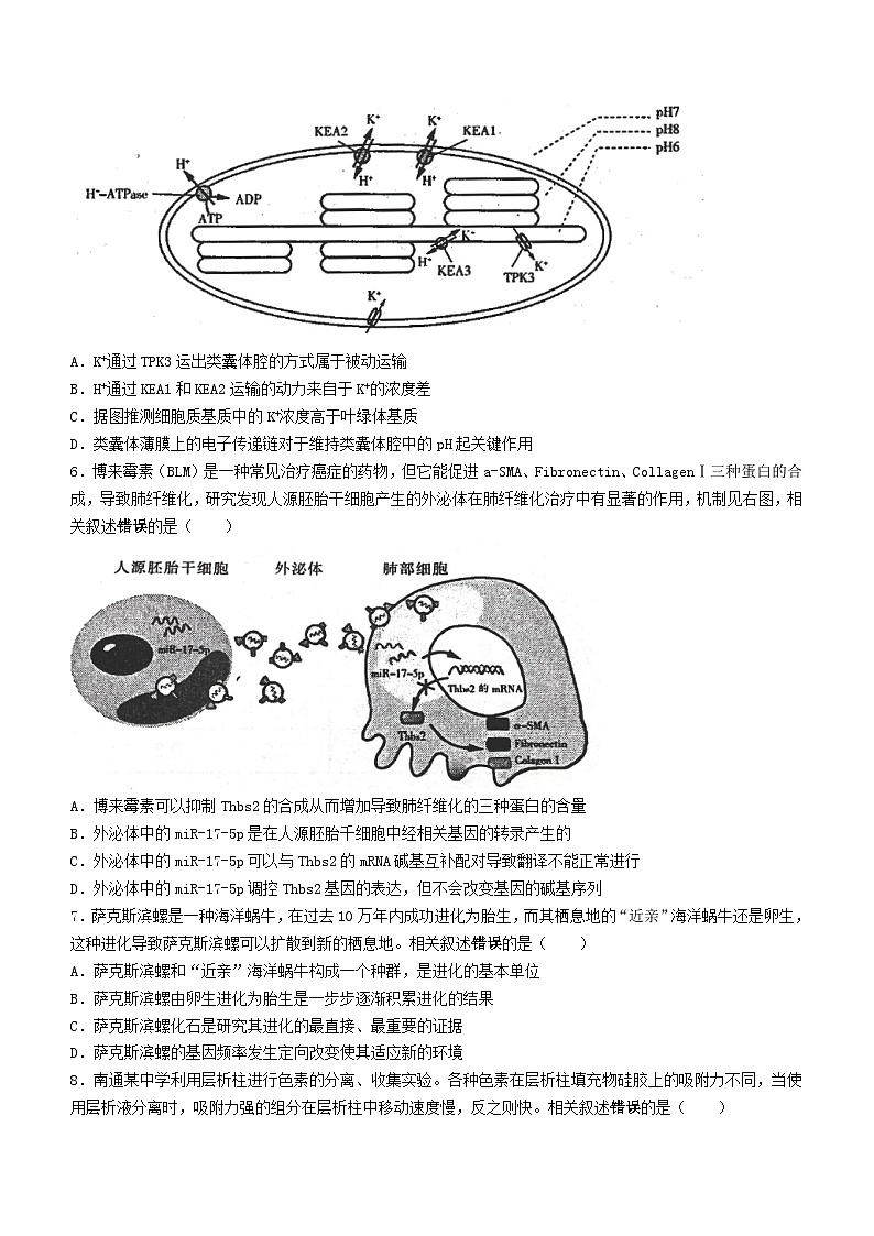 2024届江苏省徐州及南通等七市高三二模生物试题第2页