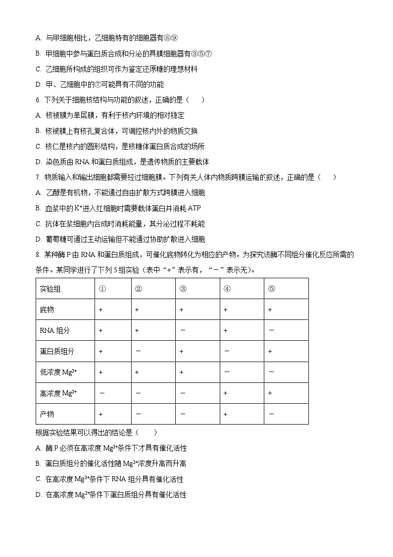 湖南省岳阳县第一中学2023-2024学年高一上学期开学考试生物试题（原卷版）第2页