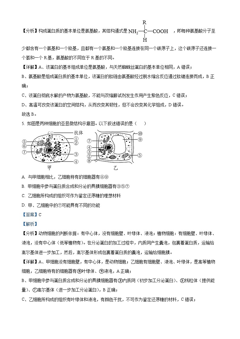 湖南省岳阳县第一中学2023-2024学年高一上学期开学考试生物试题 Word版含解析第3页