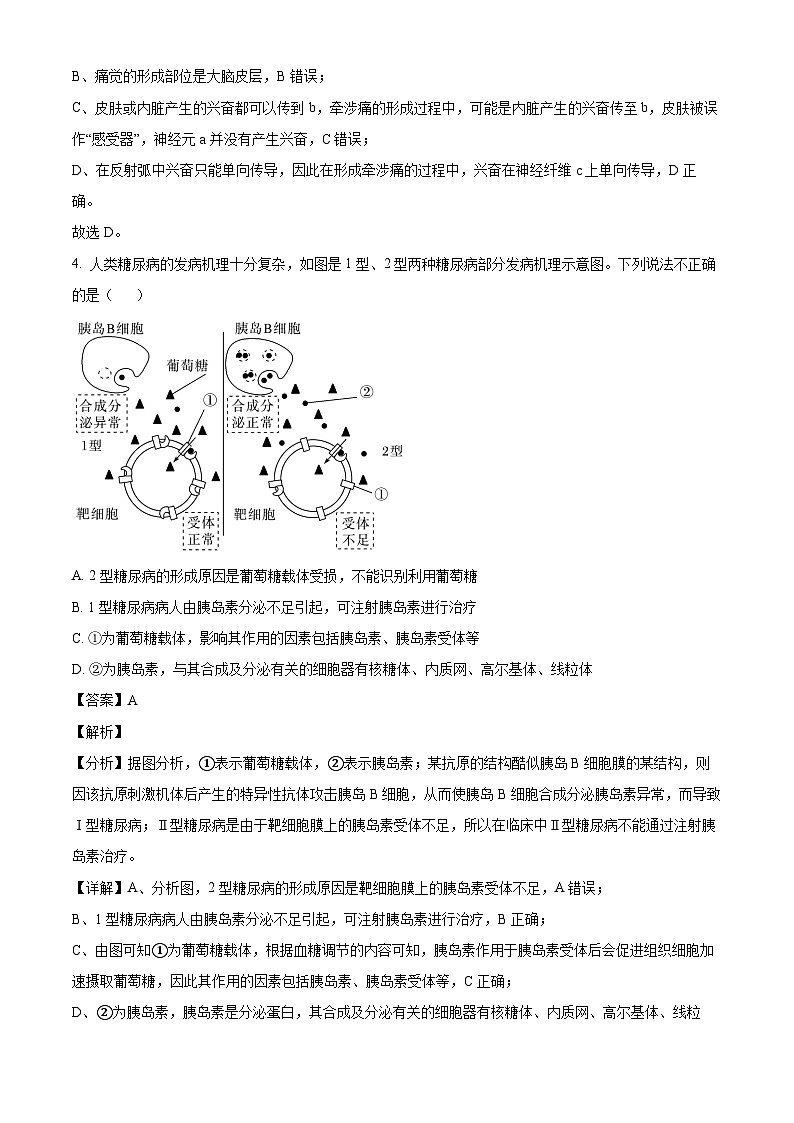 湖南省常德市临澧县2023-2024学年高二下学期入学考试生物试题（解析版）第3页