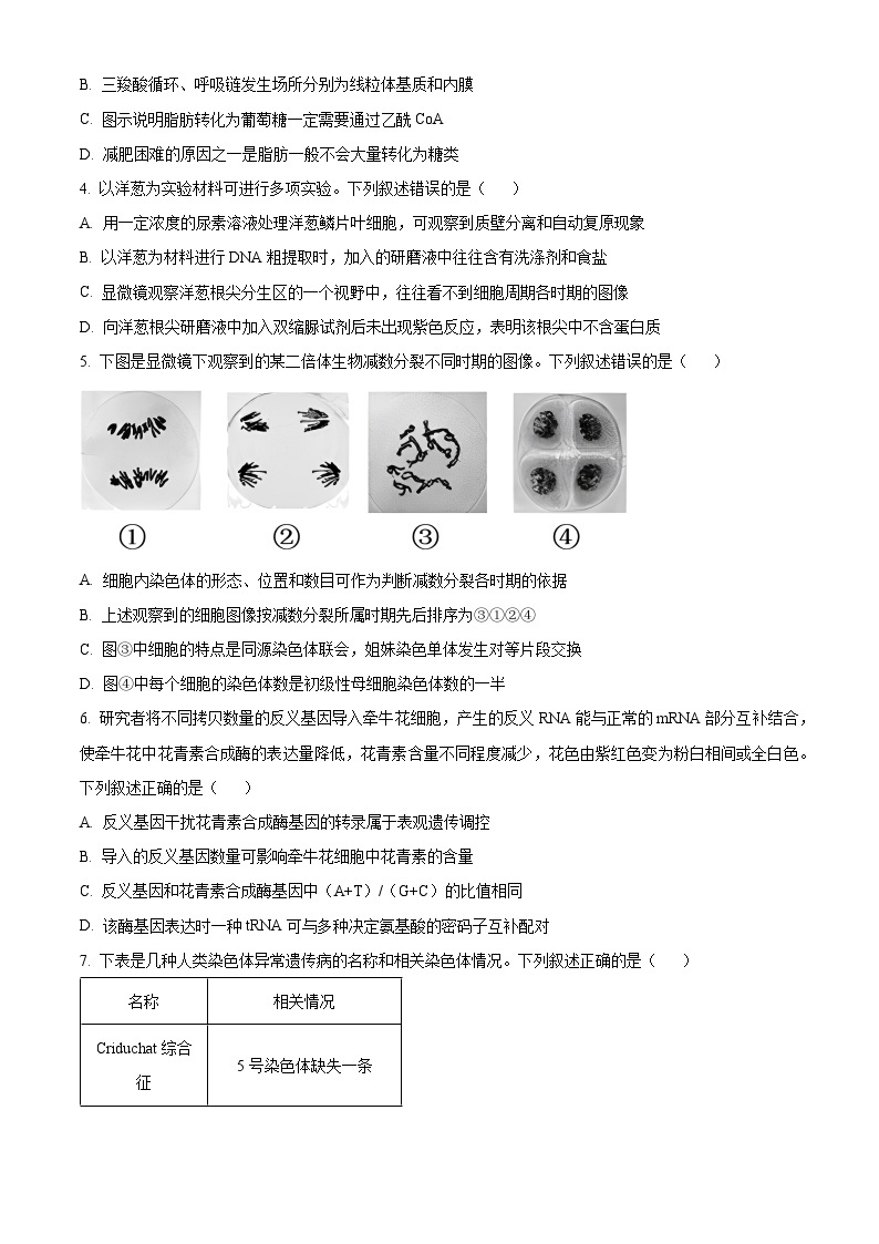 江苏省扬州市2023-2024学年高三上学期1月期末考试 生物 （解析版）02