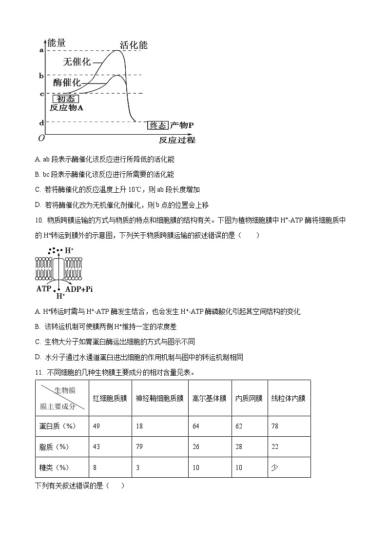四川省眉山市仁寿县一中南校区2023-2024学年高一下学期3月月考生物试题（原卷版）第3页