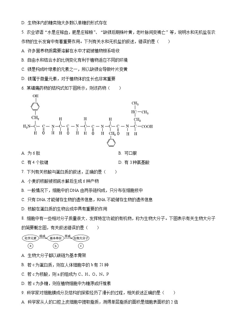 四川省自贡市蜀光中学2023-2024学年高一下学期开学考试生物试题（原卷版）第2页