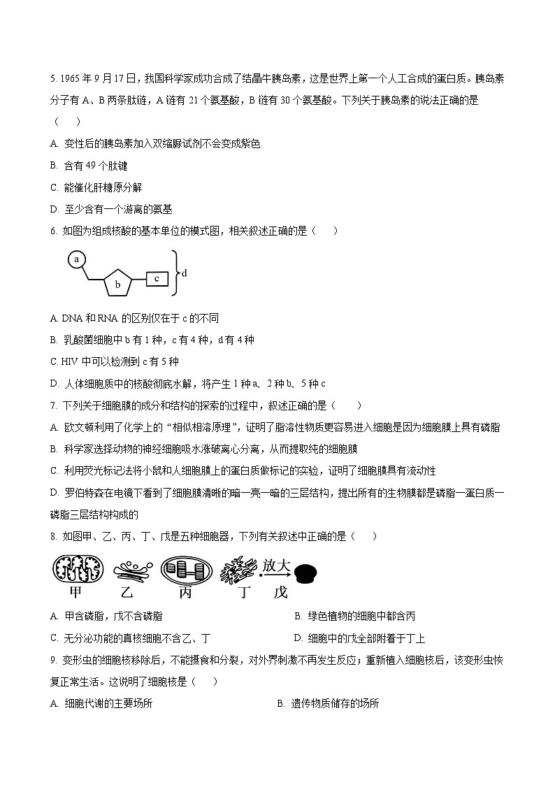 湖北省咸宁市崇阳县2023-2024学年高一下学期开学考生物学试题（原卷版+解析版）02
