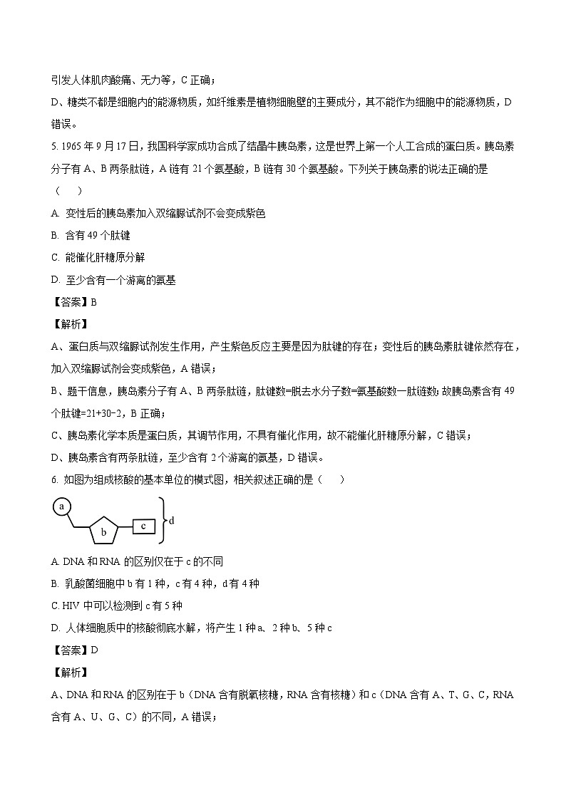 湖北省咸宁市崇阳县2023-2024学年高一下学期开学考生物学试题（原卷版+解析版）03
