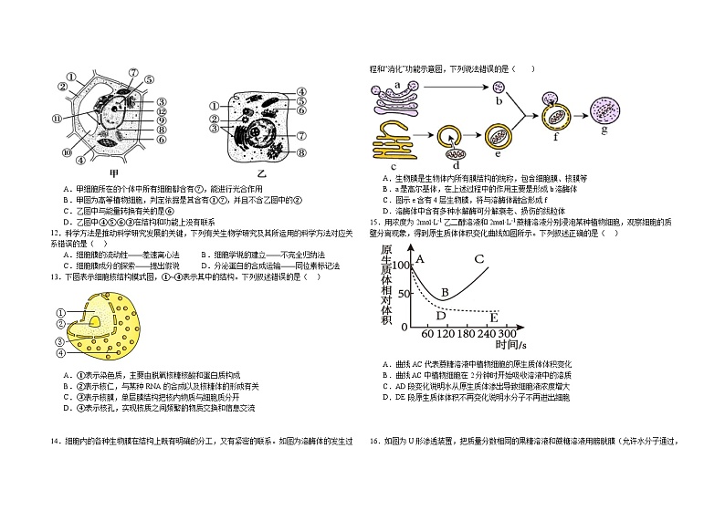 高一生物月考试卷（12月）第2页