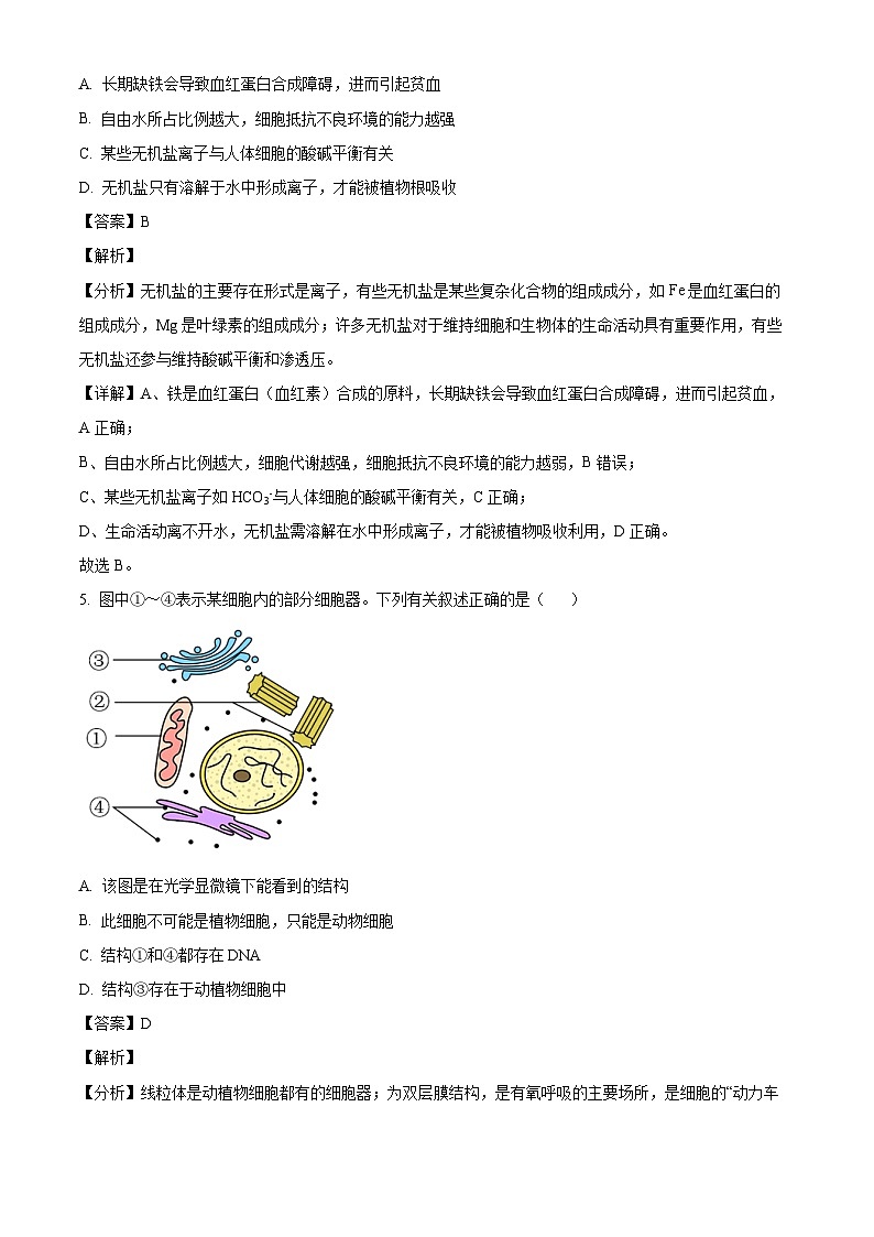湖南省株洲市十三中2023-2024学年高一下学期开学考试生物试题（解析版）第3页