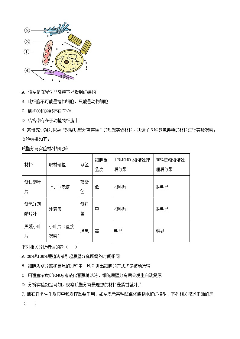 湖南省株洲市十三中2023-2024学年高一下学期开学考试生物试题（原卷版）第2页