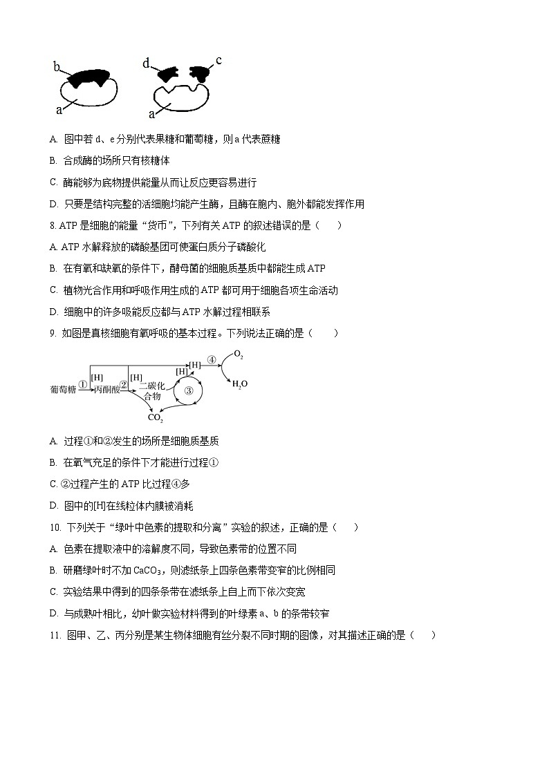 湖南省株洲市十三中2023-2024学年高一下学期开学考试生物试题（原卷版）第3页