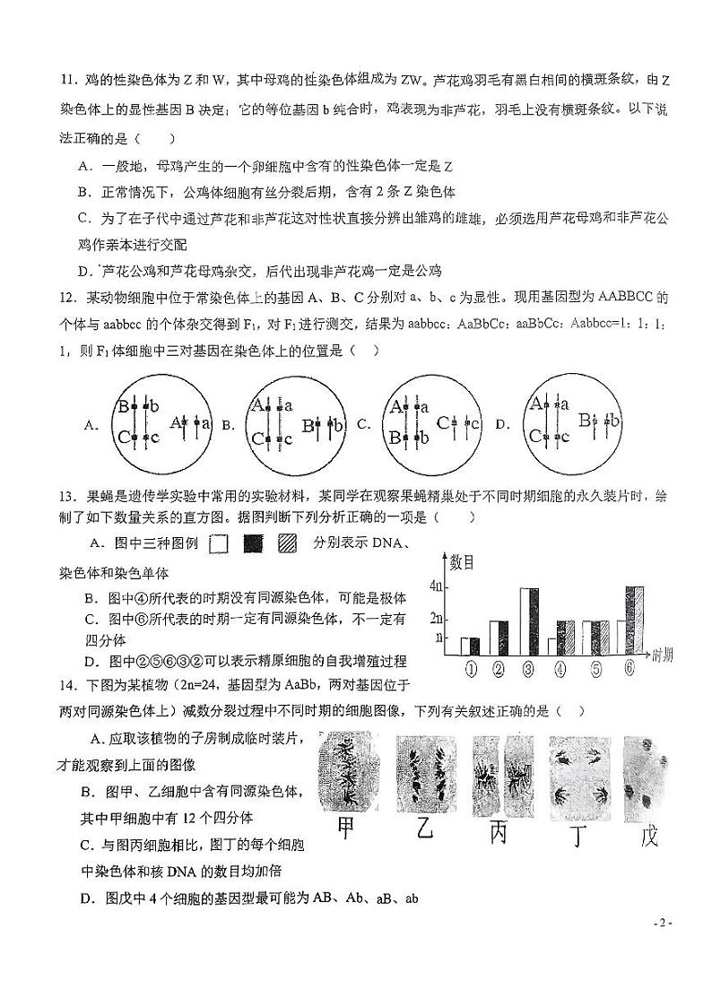 福建省漳州市云霄第一中学2023-2024学年高一下学期月考生物试卷(平行班)第3页