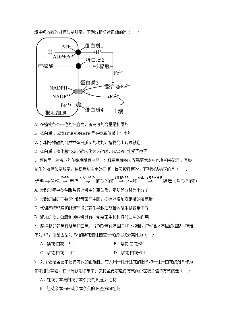河南省新乡市原阳县实验高级中学2023-2024学年高一下学期3月月考生物试题02