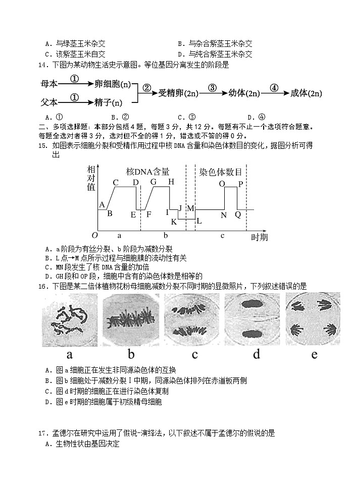 江苏省盐城市五校联考2023-2024学年高一下学期3月月考生物试卷（Word版附答案）第3页