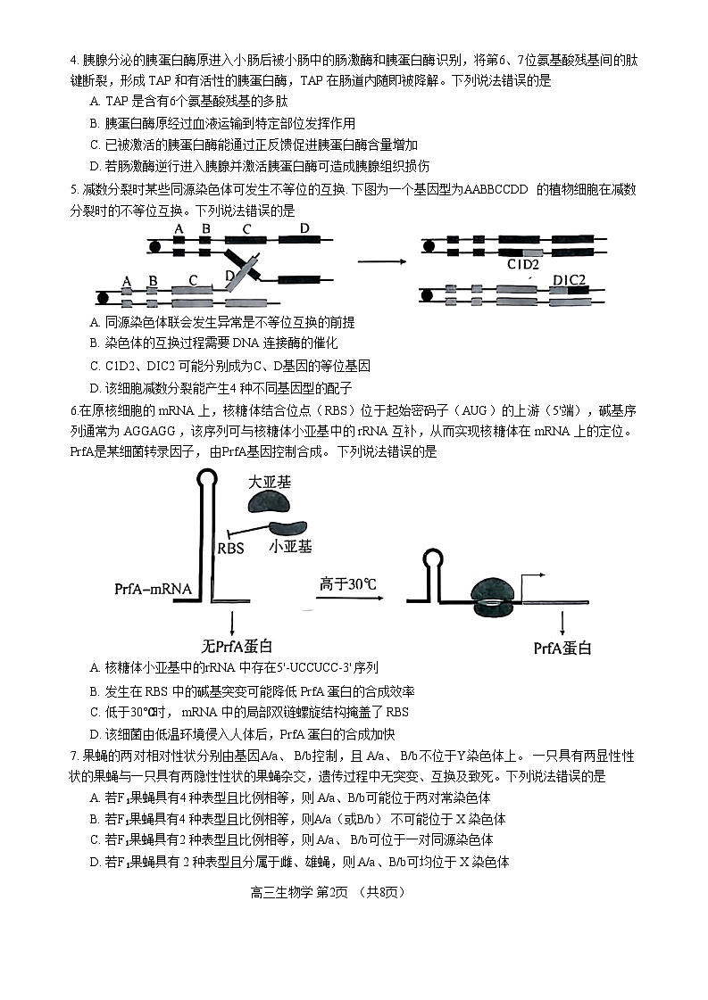 山东省淄博市2024届高三下学期一模考试生物试卷（Word版附答案）02