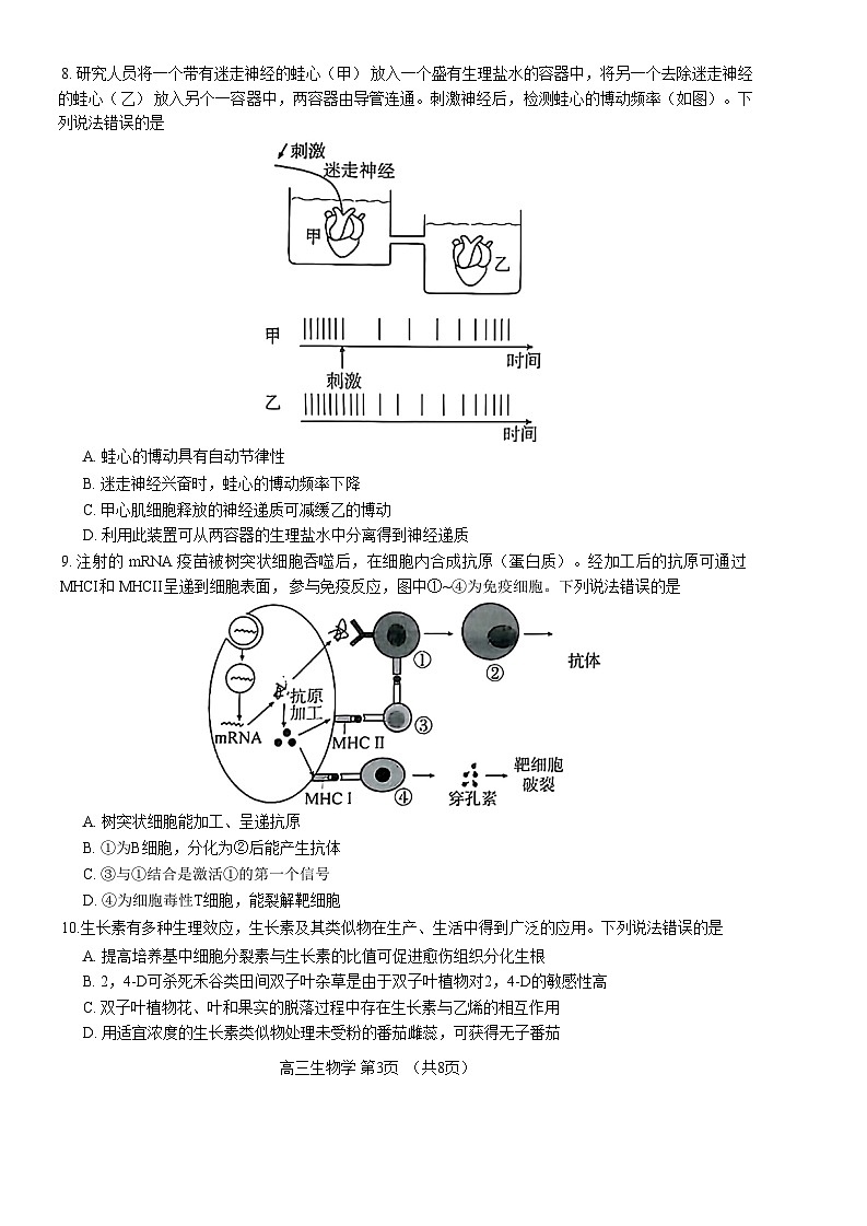 山东省淄博市2024届高三下学期一模考试生物试卷（Word版附答案）03
