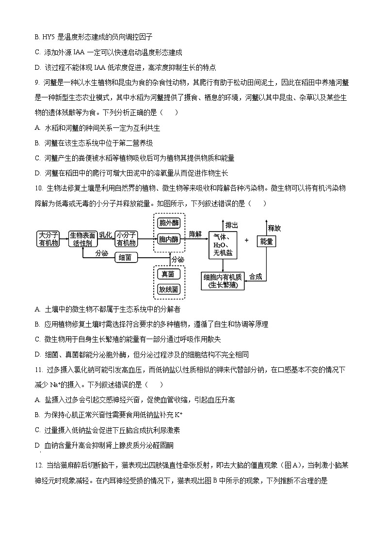 重庆市巴蜀中学2023-2024学年高二下学期3月月考生物试题 Word版无答案第3页