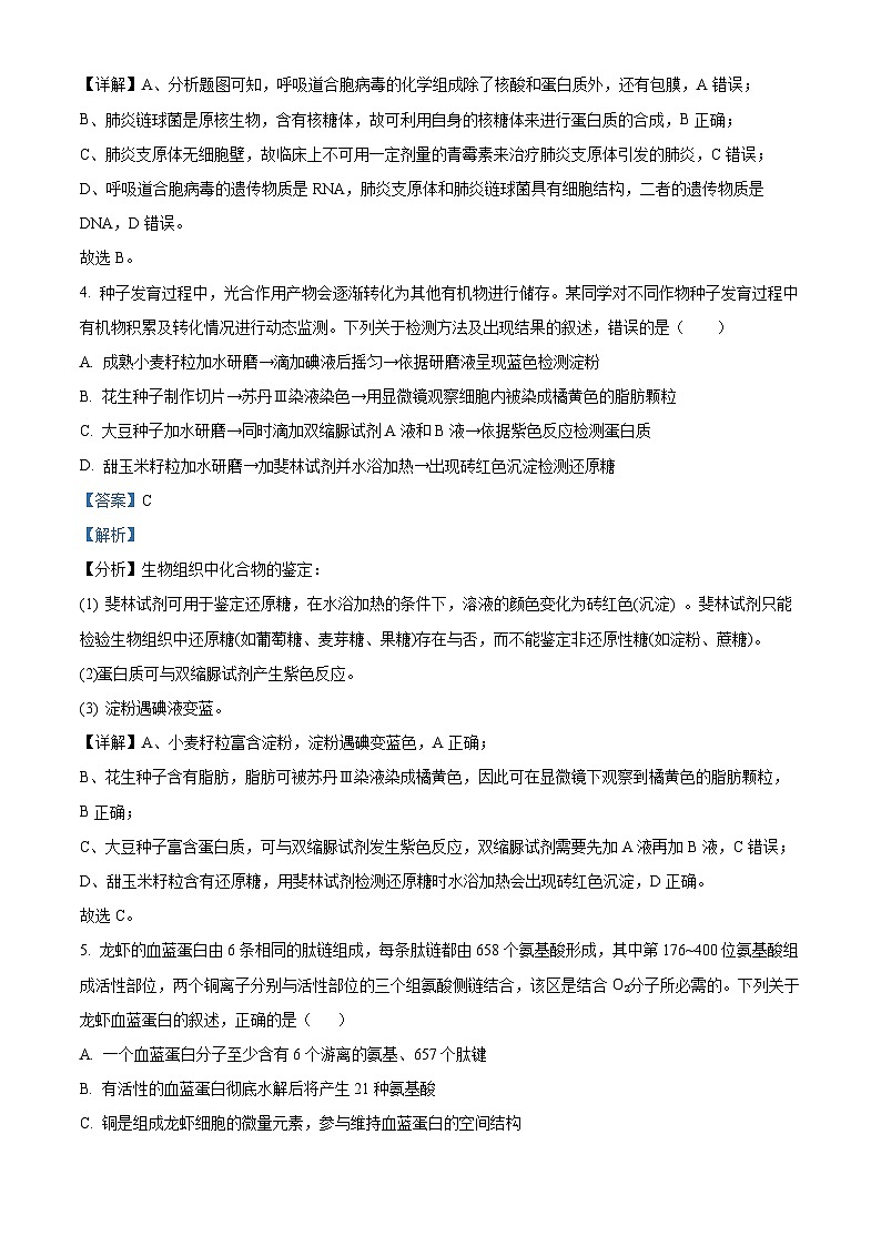 重庆市荣昌区永荣中学2023-2024学年高三下学期三月月考生物试题 Word版含解析第3页