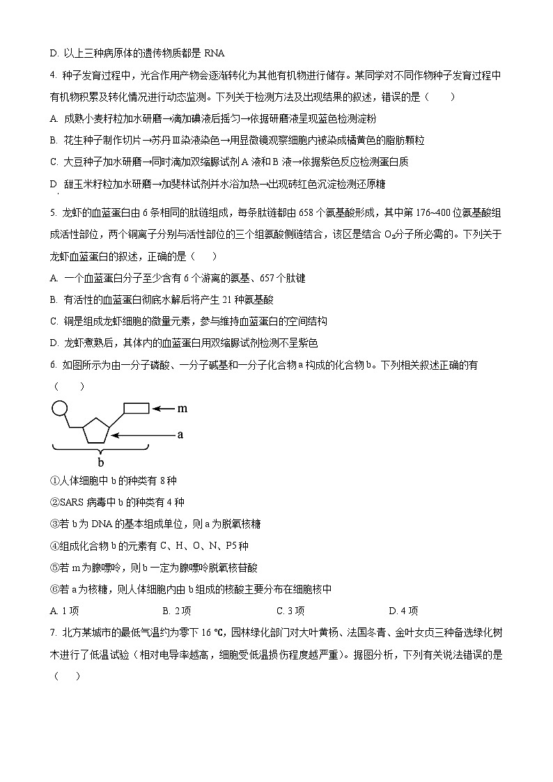 重庆市荣昌区永荣中学2023-2024学年高三下学期三月月考生物试题 Word版无答案第2页