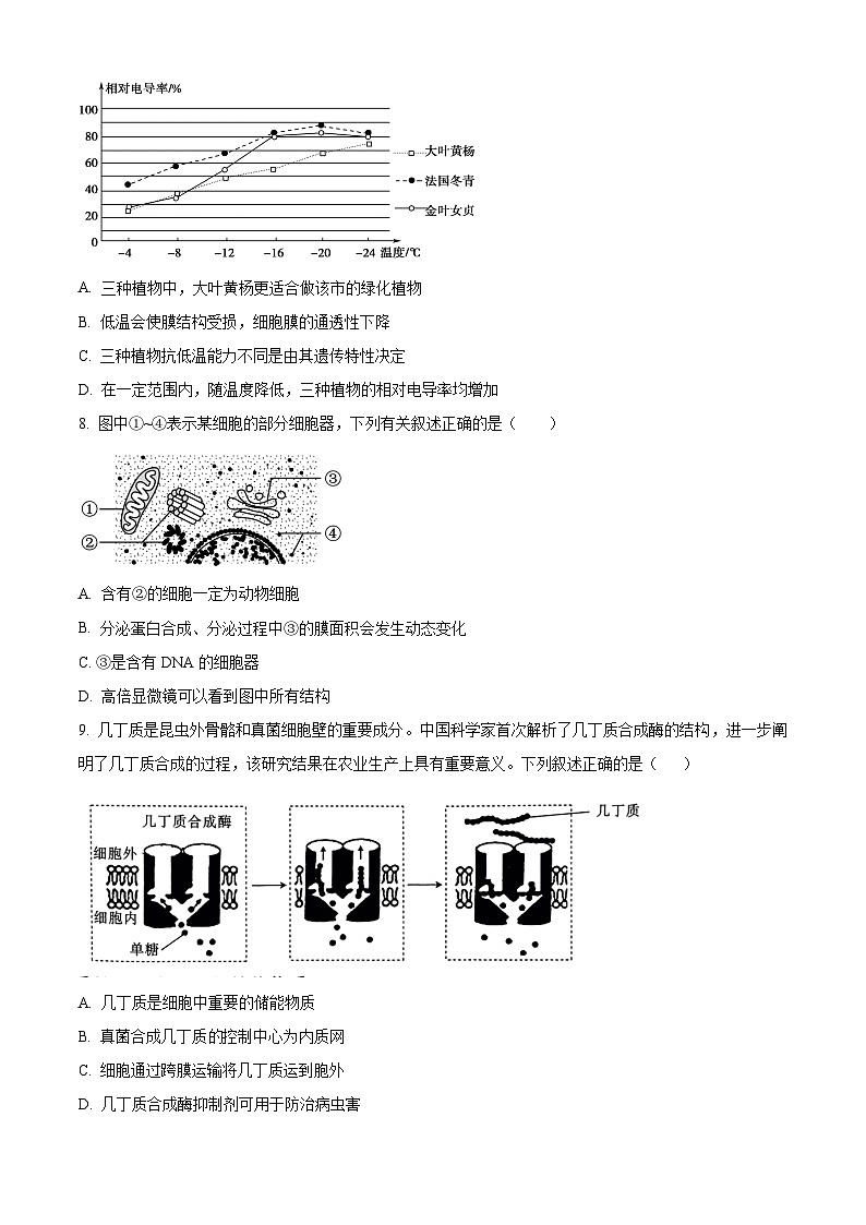 重庆市荣昌区永荣中学2023-2024学年高三下学期三月月考生物试题 Word版无答案第3页