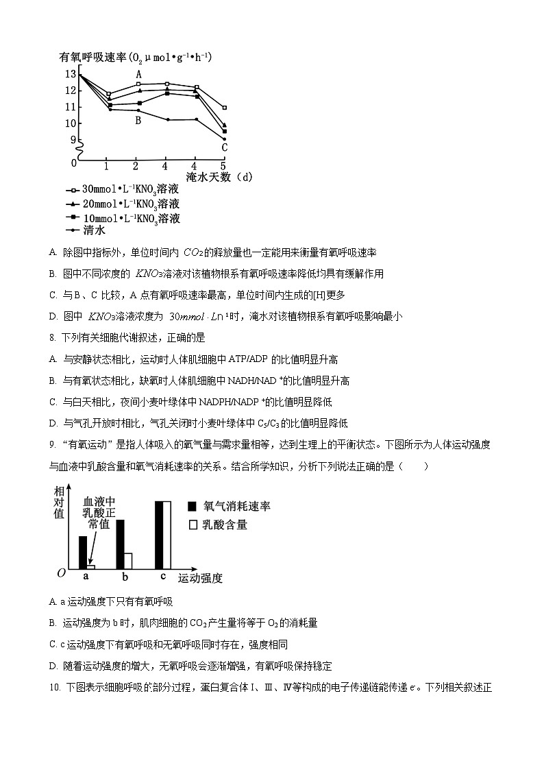重庆市黔江中学2023-2024学年高一下学期3月月考生物试题 Word版无答案第3页