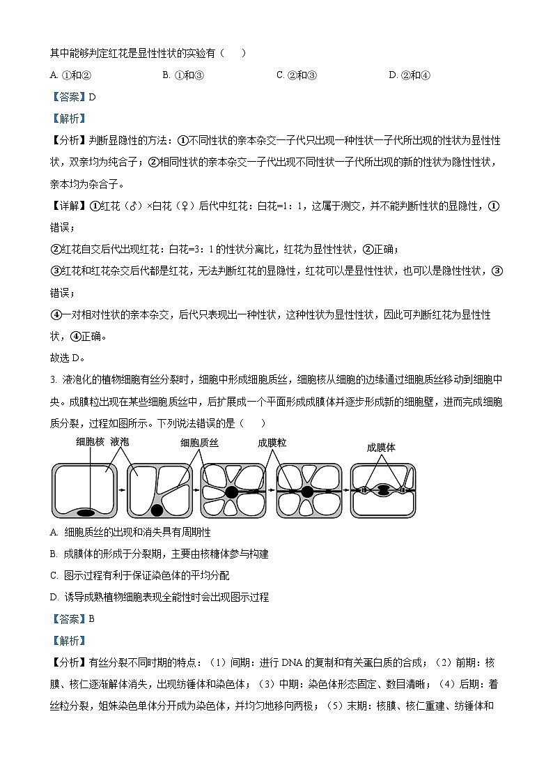精品解析：广东省深圳市龙华区致理中学2023-2024学年高一下学期3月月考生物试题（解析版）第2页