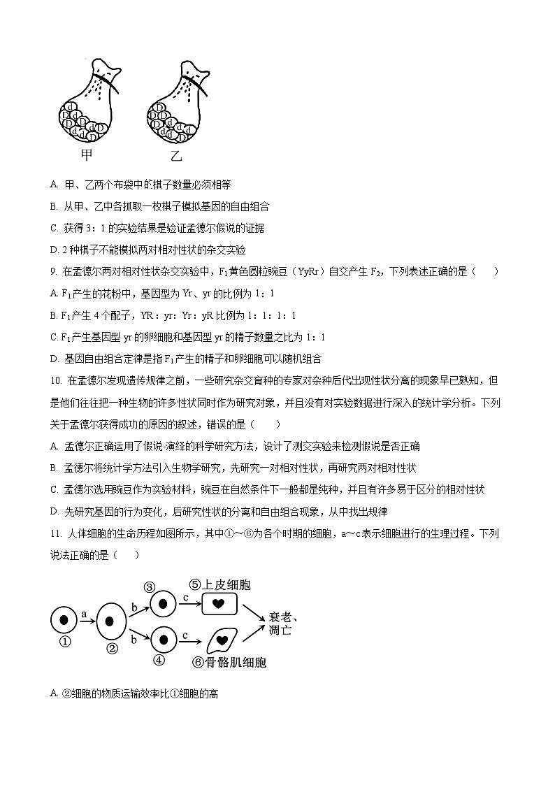 精品解析：广东省深圳市龙华区致理中学2023-2024学年高一下学期3月月考生物试题（原卷版）第3页