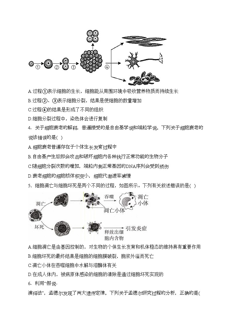 本溪市第一中学2022-2023学年高一下学期期中考试生物试卷(含答案)02