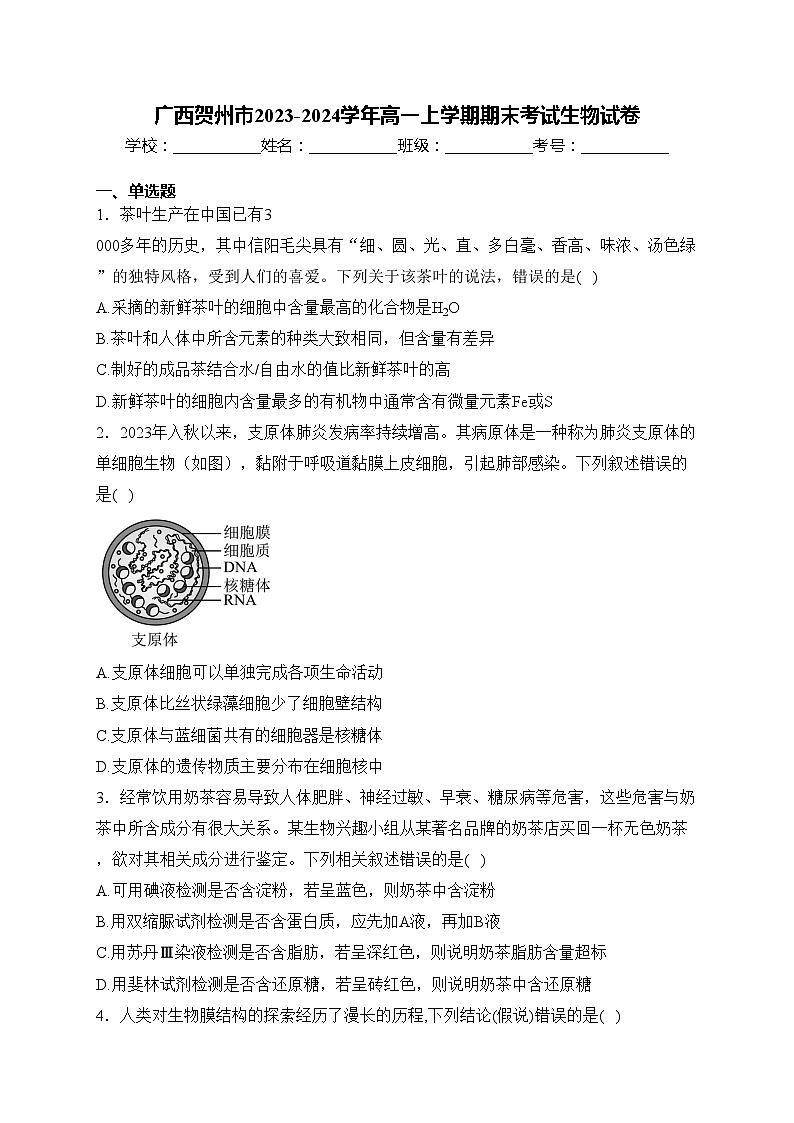 广西贺州市2023-2024学年高一上学期期末考试生物试卷(含答案)第1页