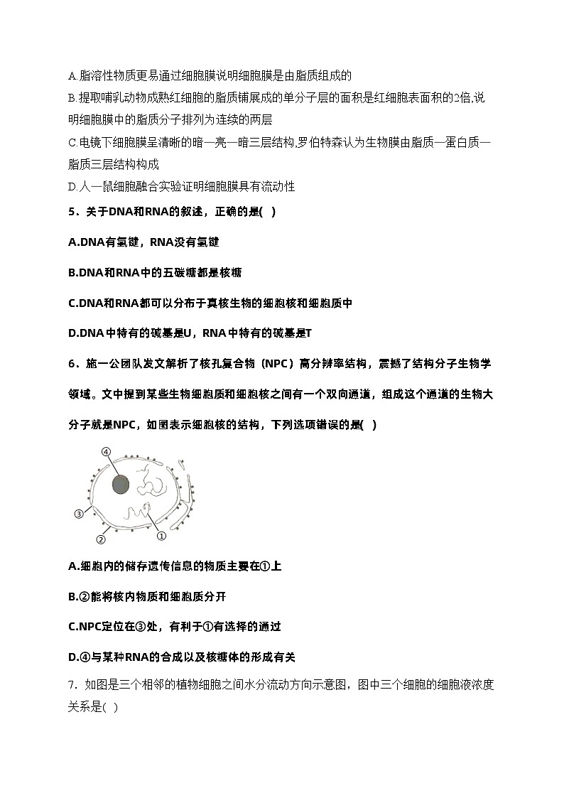 广西贺州市2023-2024学年高一上学期期末考试生物试卷(含答案)第2页