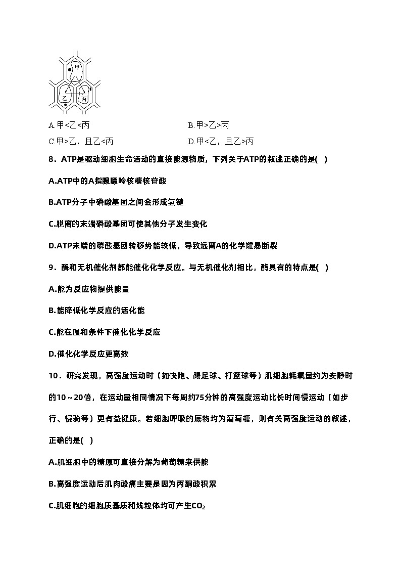 广西贺州市2023-2024学年高一上学期期末考试生物试卷(含答案)第3页