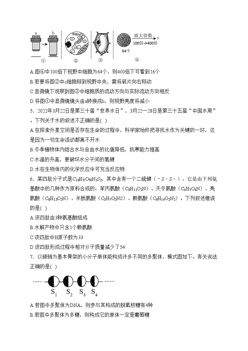 湖南省岳阳市岳阳县2024届高三下学期开学考试生物试卷(含答案)第2页