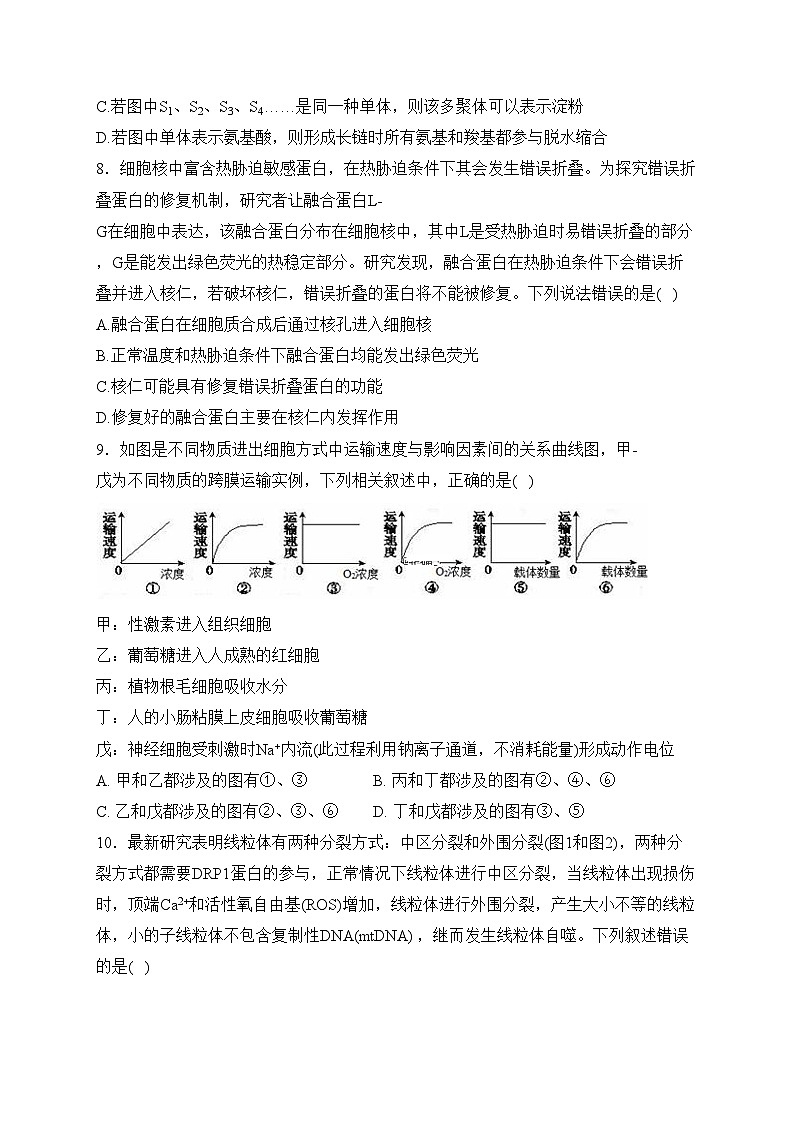 湖南省岳阳市岳阳县2024届高三下学期开学考试生物试卷(含答案)第3页