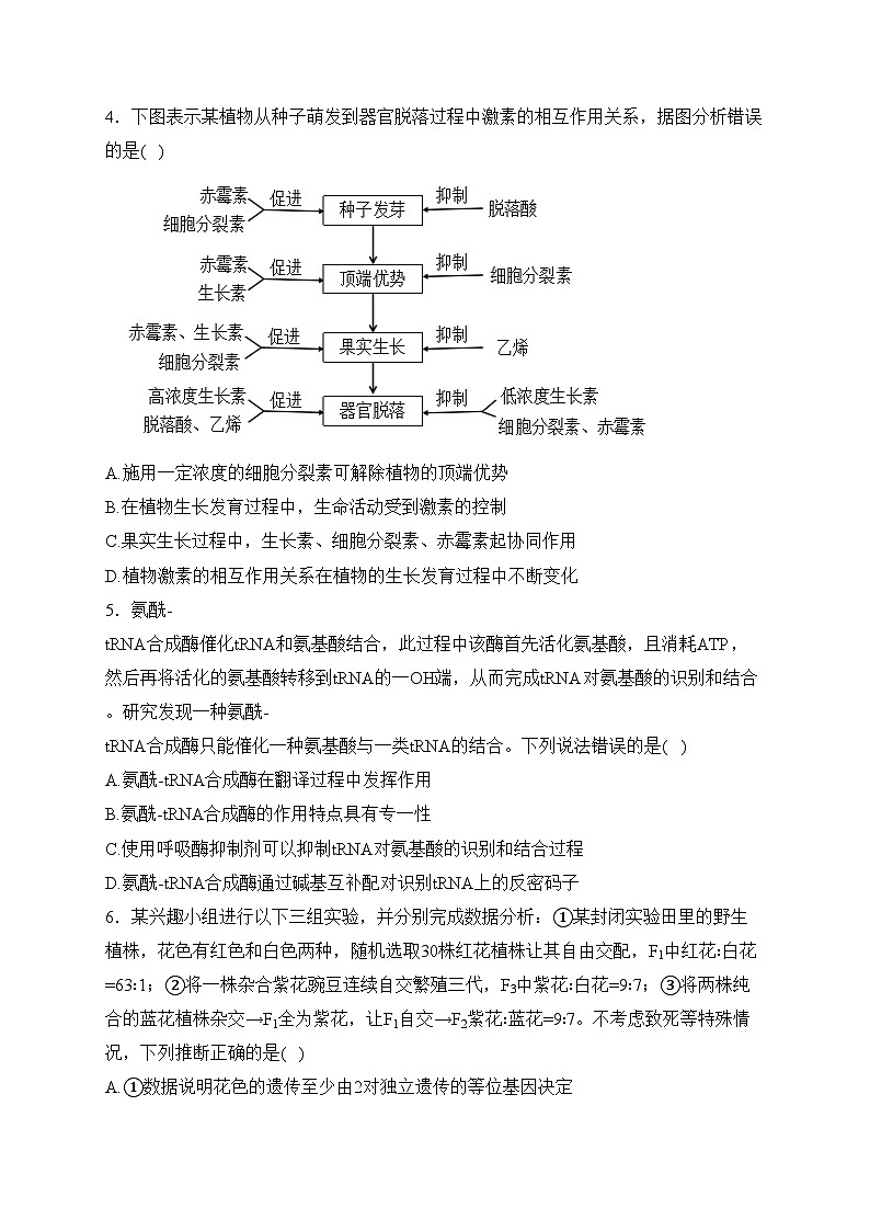 内蒙古自治区赤峰市2024届高三二模生物试卷(含答案)02