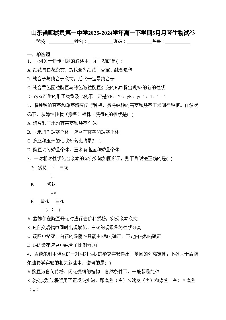 山东省鄄城县第一中学2023-2024学年高一下学期3月月考生物试卷(含答案)第1页