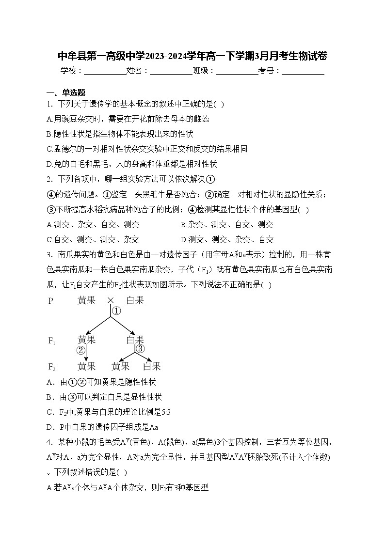 中牟县第一高级中学2023-2024学年高一下学期3月月考生物试卷(含答案)第1页