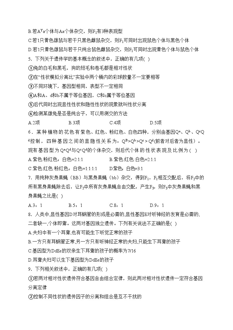 中牟县第一高级中学2023-2024学年高一下学期3月月考生物试卷(含答案)第2页