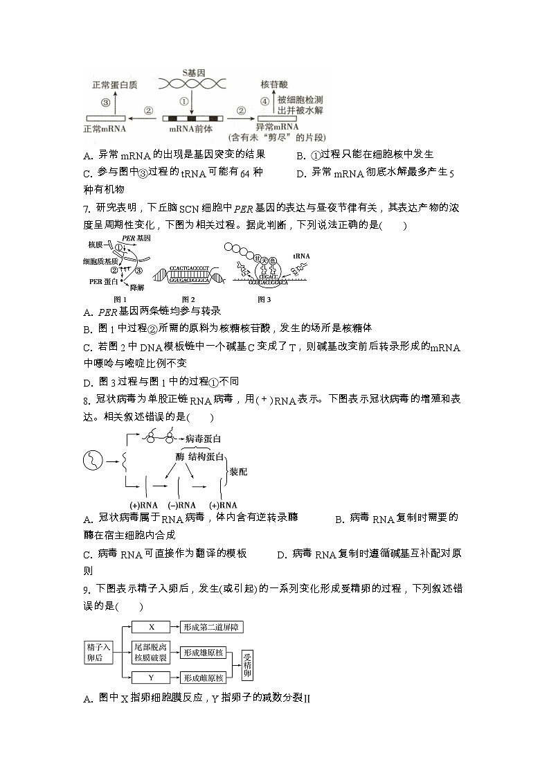 江苏省苏州市南京航空航天大学苏州附属中学2023-2024学年高三下学期3月月考生物试题第2页