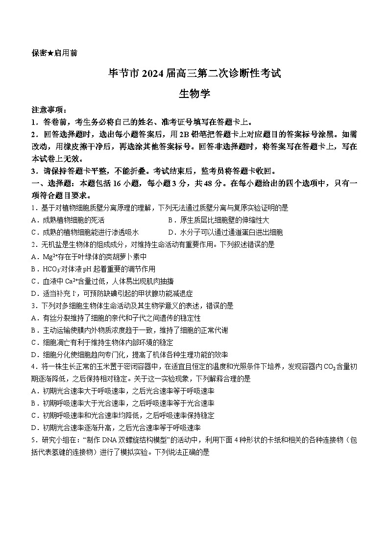 贵州省毕节市2024届高三下学期二模考试（毕节二模）生物01