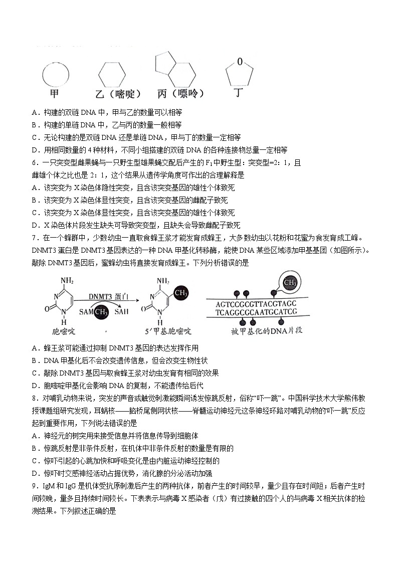 贵州省毕节市2024届高三下学期二模考试（毕节二模）生物02