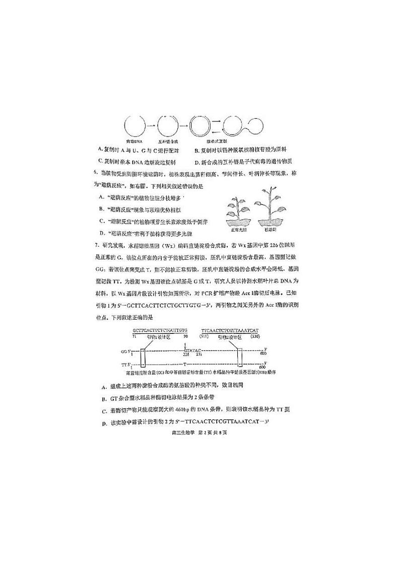 2024届天津市红桥区高三下学期一模生物试卷第2页